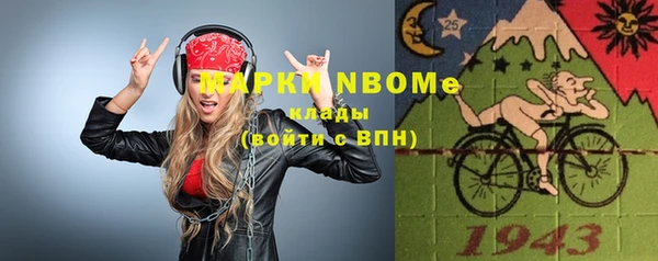 индика Балахна