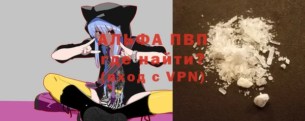индика Балахна