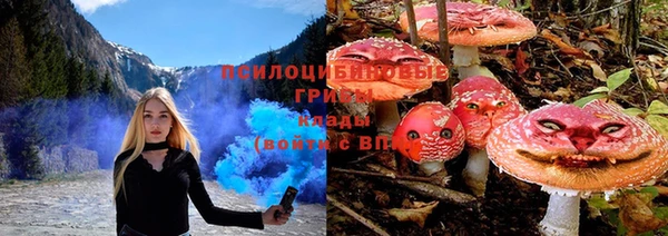трава Баксан
