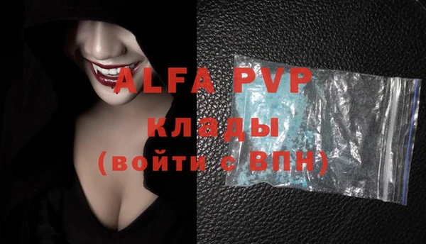 индика Балахна