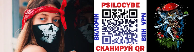Галлюциногенные грибы Psilocybe  Гудермес 